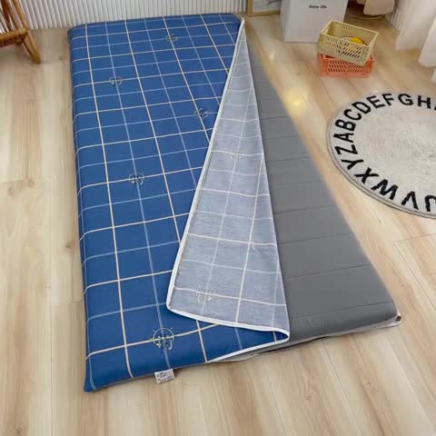 91家纺网 家纺一手货源 找家纺 凌云 2025新款AB版全棉加宝宝绒系列床垫套 似水流年