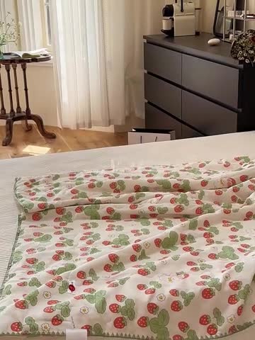 91家纺网 家纺一手货源 找家纺 洋铭区  2023双层纱夏被 小红莓