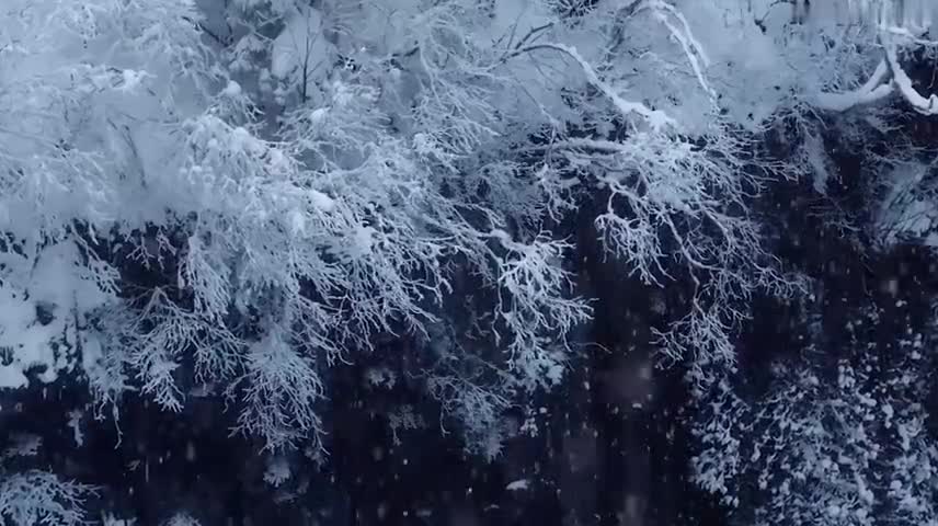 91家纺网 家纺一手货源 找家纺 （总）欧冠 2023新款韩版公主牛奶绒四件套