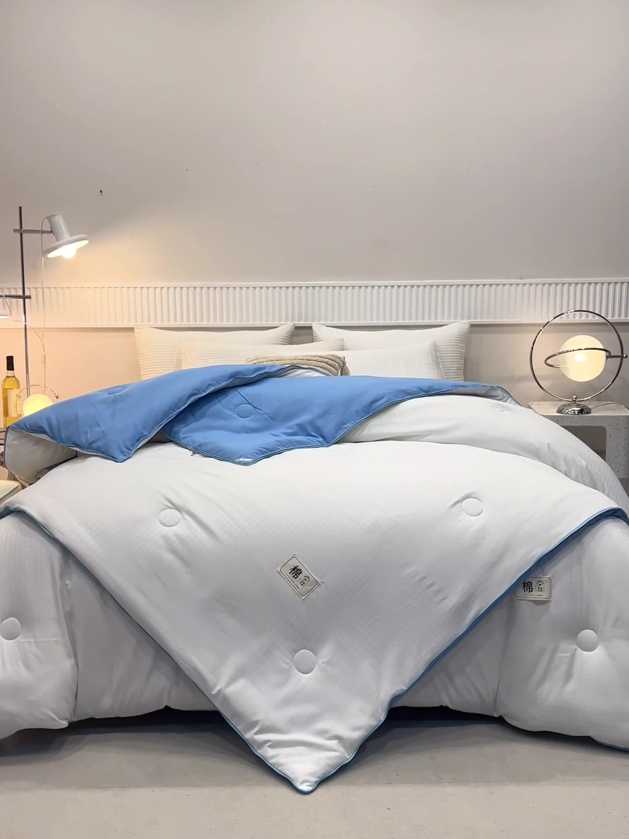 91家纺网 家纺一手货源 找家纺 2025新款原棉双拼提花大豆被二合一拉链款子母被春秋冬被子夏被学生宿舍被褥 子母被本白+天空蓝