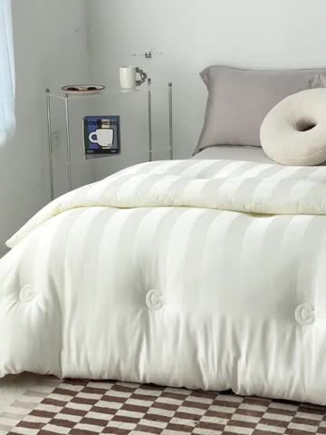 91家纺网 家纺一手货源 找家纺 莱福仕 2023新款A类杜邦防螨抗菌春秋被冬被被子被芯 维C-冰川白