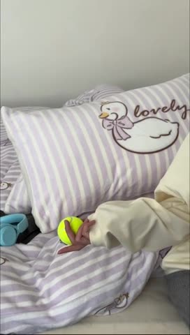 91家纺网 家纺一手货源 找家纺 昔可 2023新款大版印花枕套牛奶绒系列四件套-模特图 芭蕾天鹅