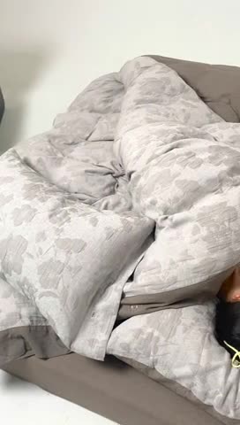 91家纺网 家纺一手货源 找家纺 安莱生活 2023新品双层纱大提花高奢工艺款四件套花都 花都--咖色